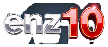 enz 10 logo